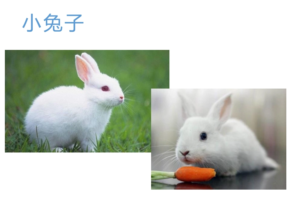 《会跳的玩具》PPT教学课件[五年级美术上册]_第3页