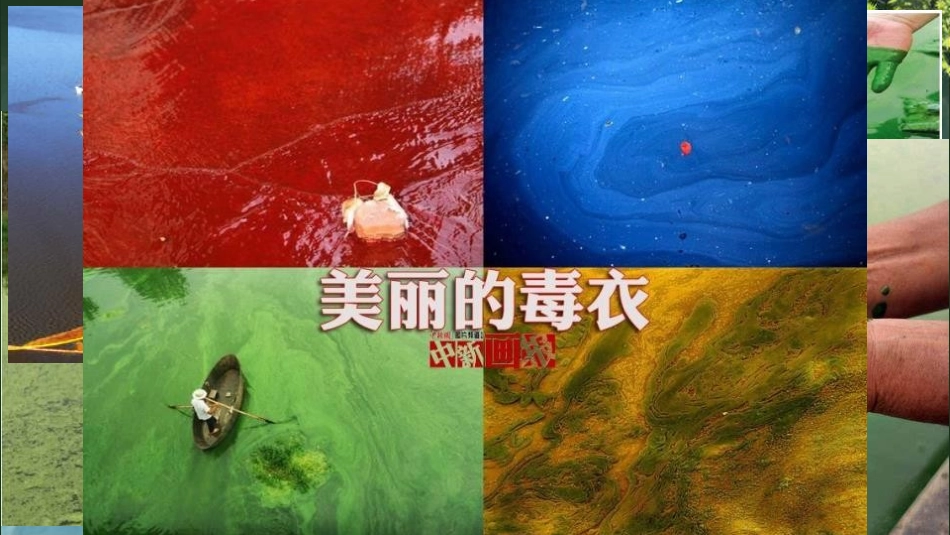 《爱护家园》PPT课件[五年级美术上册]_第2页