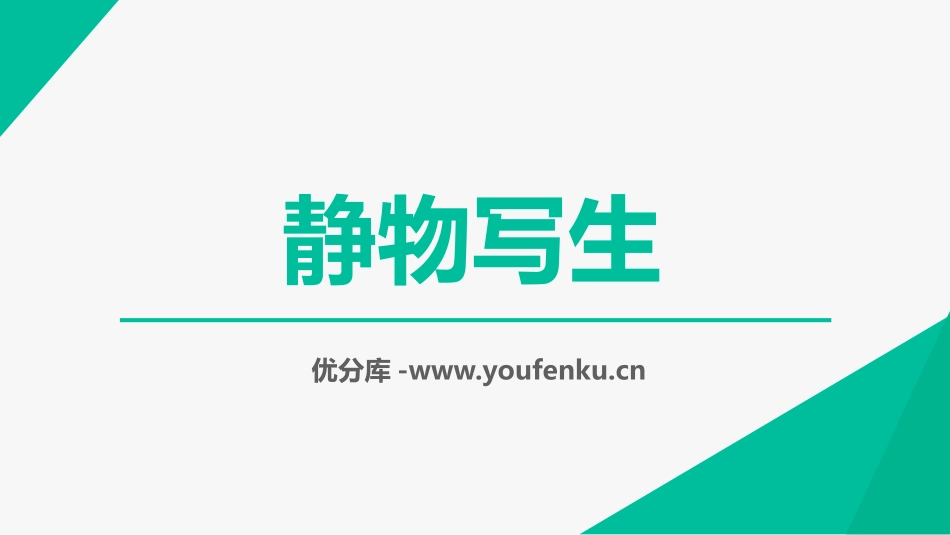 《静物写生》PPT课件[五年级美术下册]_第1页