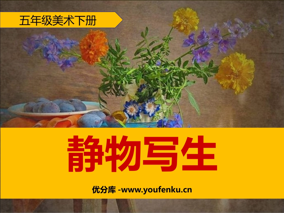 《静物写生》PPT优质课件[五年级美术下册]_第1页
