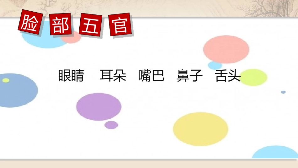 《夸张的脸》PPT免费课件[五年级美术下册]_第3页