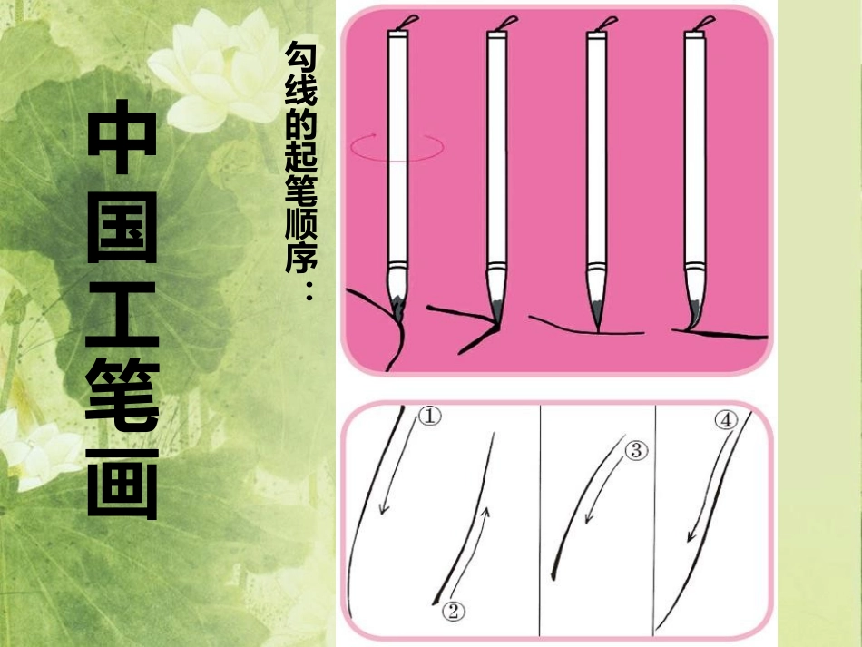 《工笔花卉》PPT免费课件[六年级美术下册]_第3页