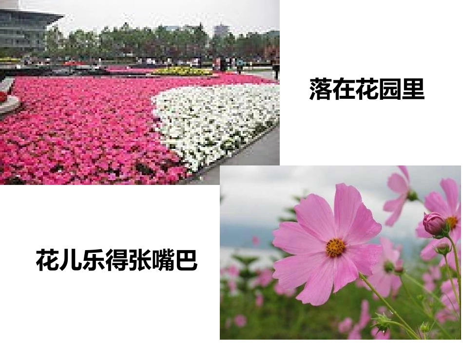 《小雨沙沙沙》PPT教学课件[一年级音乐下册]_第2页