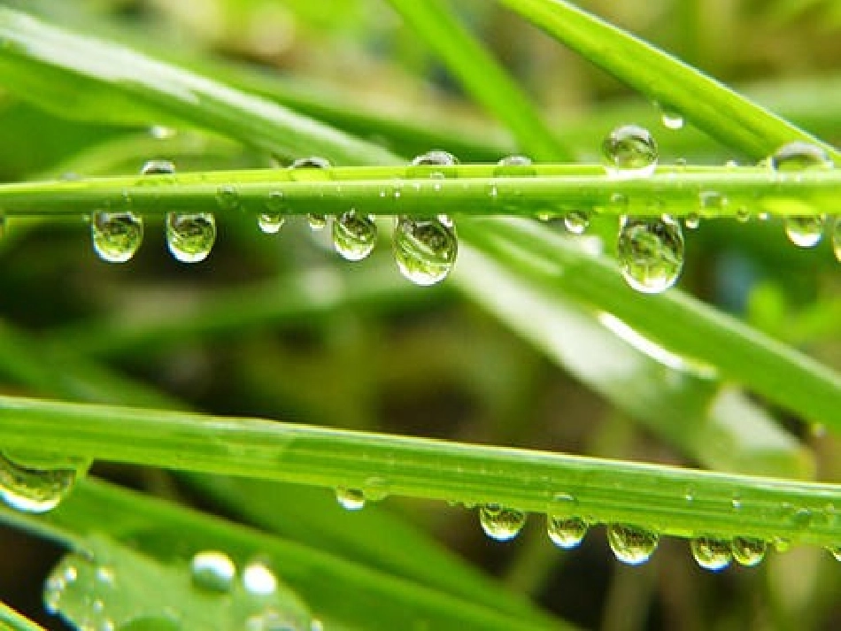 《小雨沙沙沙》PPT课件[一年级音乐下册]_第3页