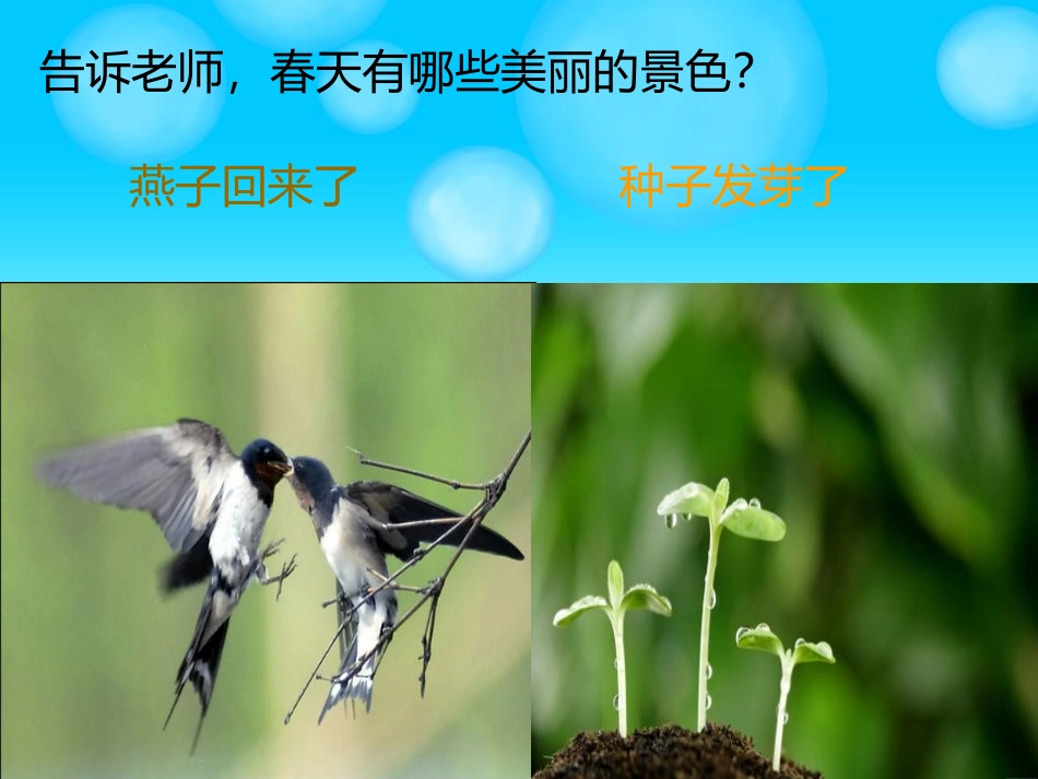 《春天音乐会》PPT课件[一年级音乐下册]_第3页