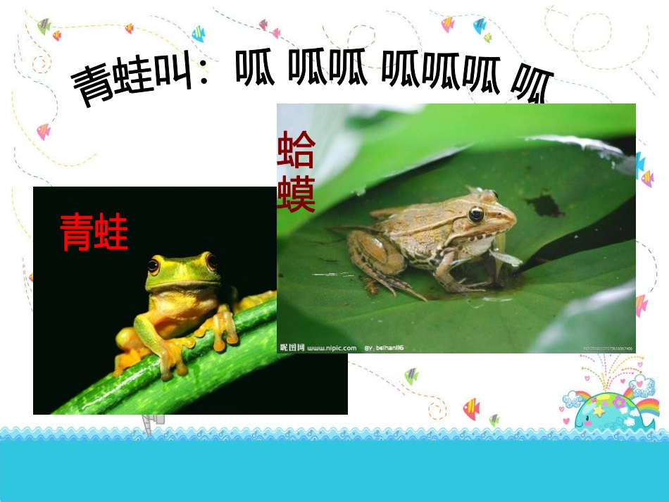 《数蛤蟆》PPT课件[二年级音乐上册]_第2页