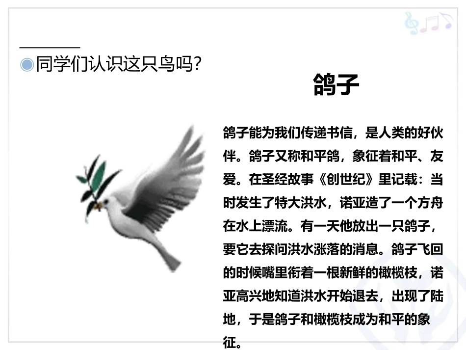《白鸽》PPT教学课件[三年级音乐上册]_第2页