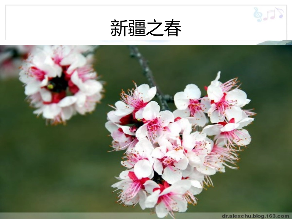 《天山之春》PPT课件[四年级音乐下册]_第3页
