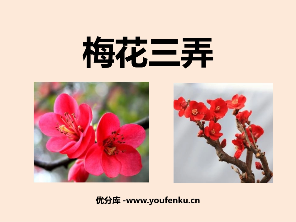 《梅花三弄》PPT课件[五年级音乐下册]_第1页