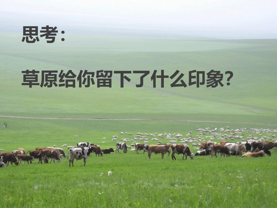 《草原上》PPT教学课件[六年级音乐上册]_第2页