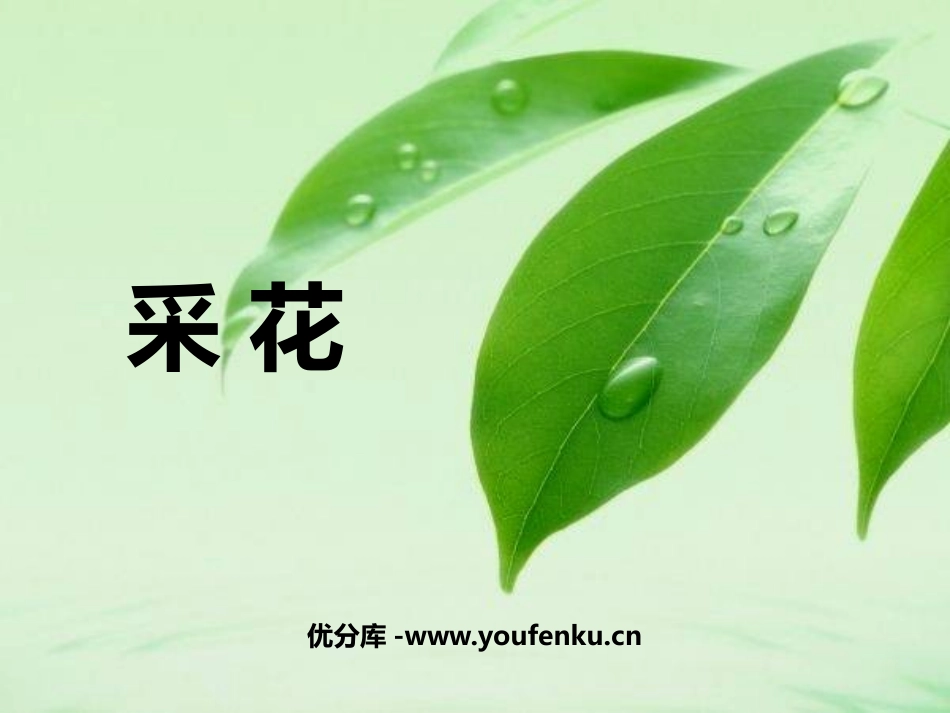 《采花》PPT课件[八年级音乐上册]_第1页