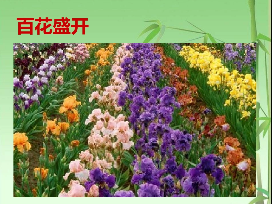 《采花》PPT课件[八年级音乐上册]_第3页