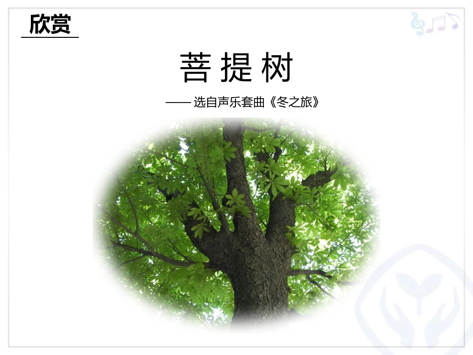 《菩提树》PPT教学课件[八年级音乐上册]_第2页