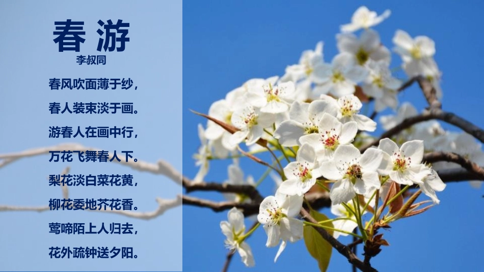 《阳关三叠》PPT教学课件[八年级音乐下册]_第2页