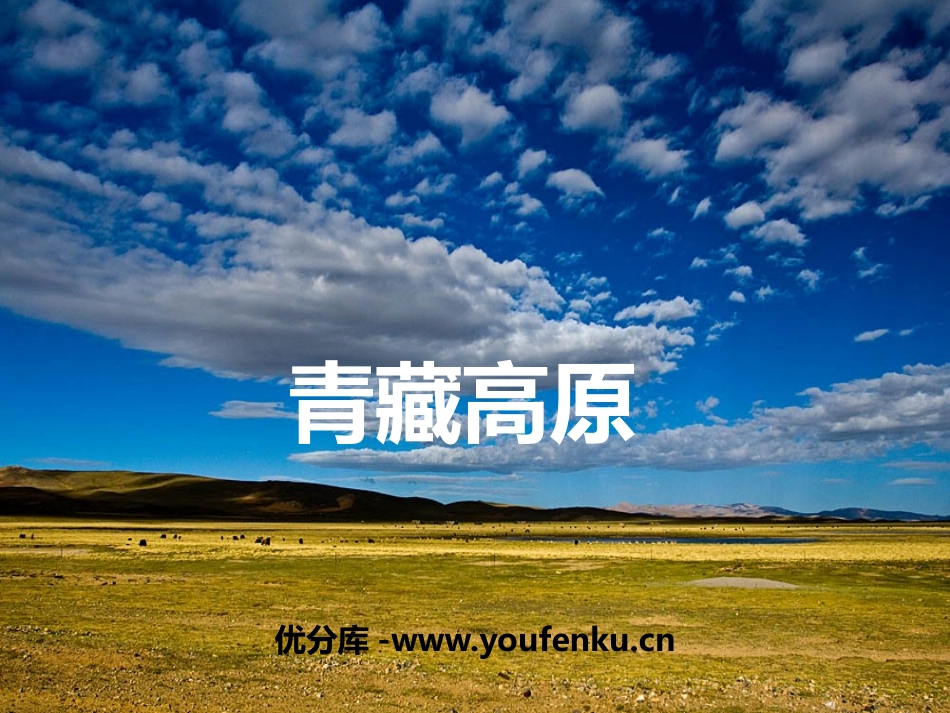《青藏高原》PPT教学课件[九年级音乐上册]_第1页