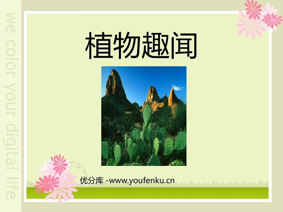 《植物趣闻》PPT课件[幼儿园科学课件]_第1页