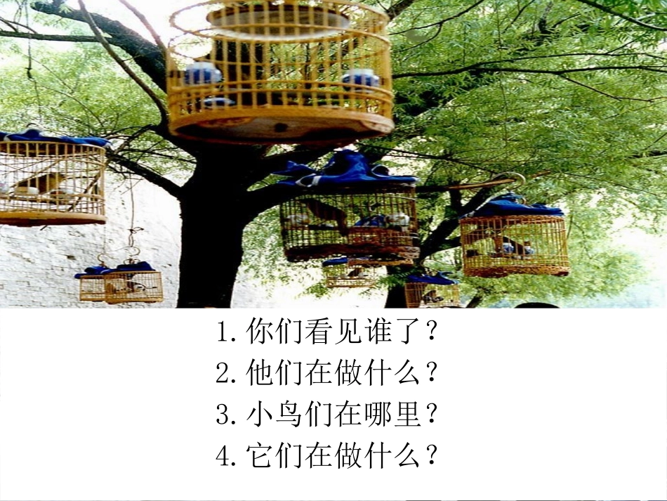 《遛鸟》PPT课件[幼儿园社会课件]_第2页