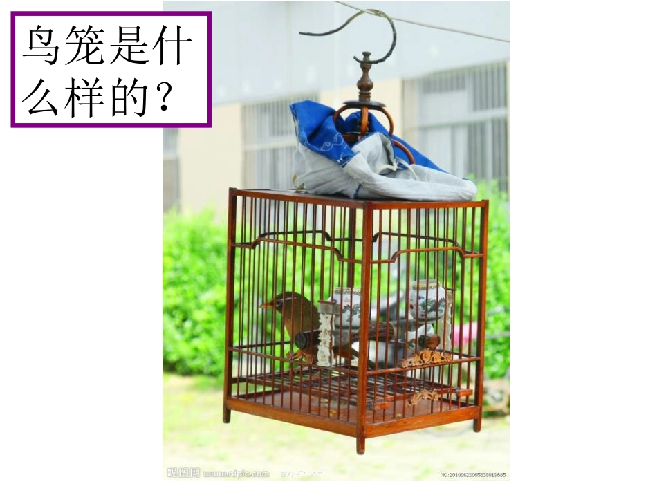 《遛鸟》PPT课件[幼儿园社会课件]_第3页