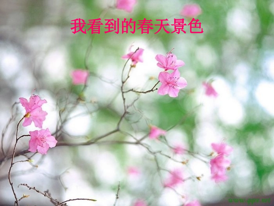 《美丽的春天》PPT课件[幼儿园社会课件]_第3页