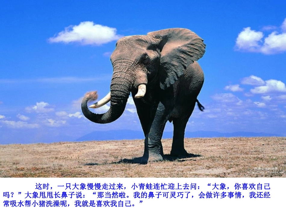 《我就喜欢我自己》PPT课件[幼儿园社会课件]_第3页