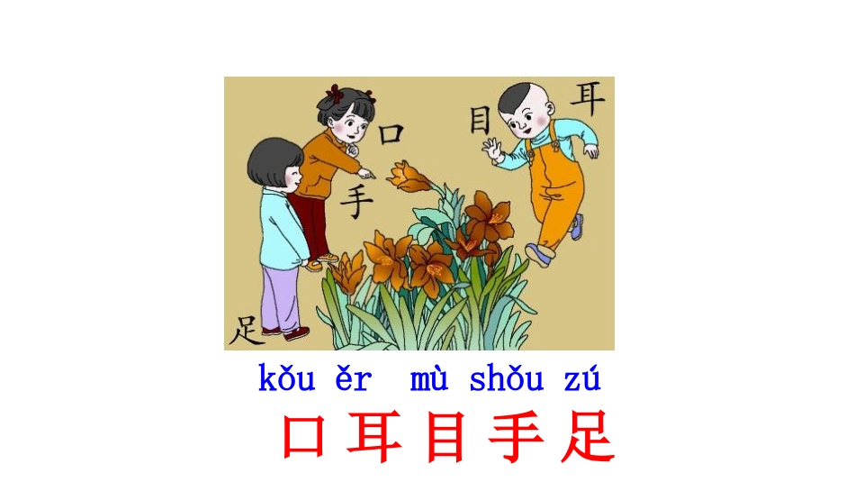 《口耳目》PPT精品课件[部编版一年级语文上册]_第3页