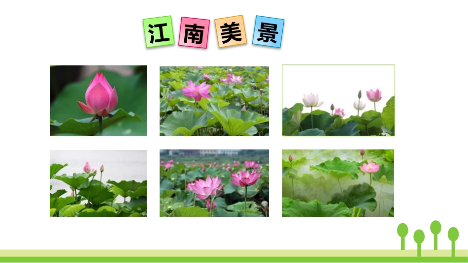 《江南》PPT优质课件[部编版一年级语文上册]_第3页