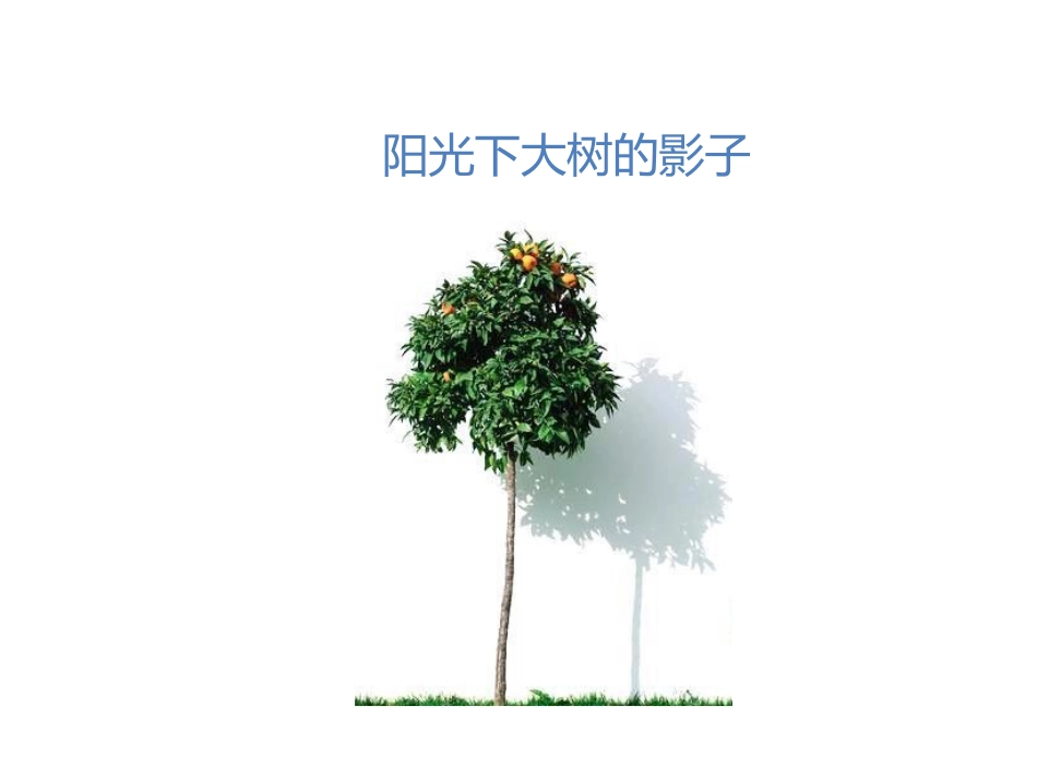 《影子》PPT优质课件[部编版一年级语文上册]_第3页