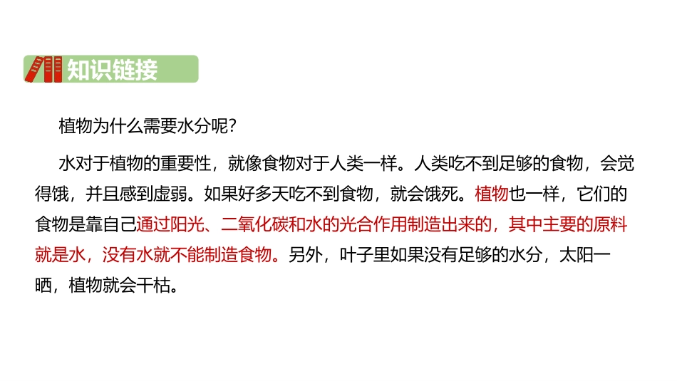 《雨点儿》PPT课文课件[部编版一年级语文上册]_第3页