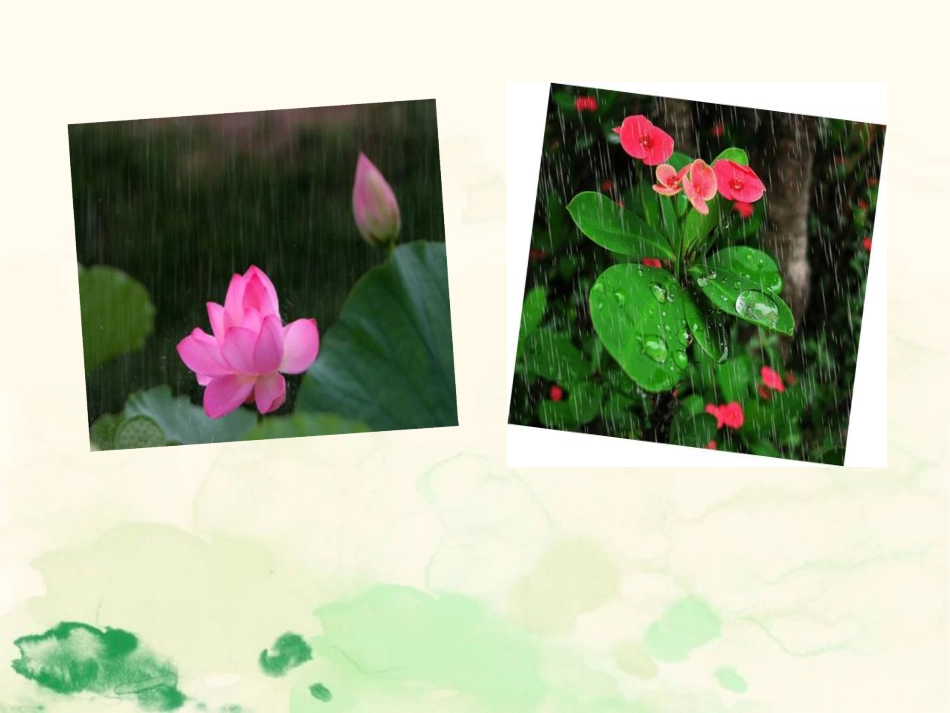 《雨点儿》PPT免费课件[部编版一年级语文上册]_第3页