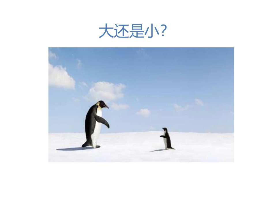 《大还是小》PPT课件[部编版一年级语文上册]_第3页