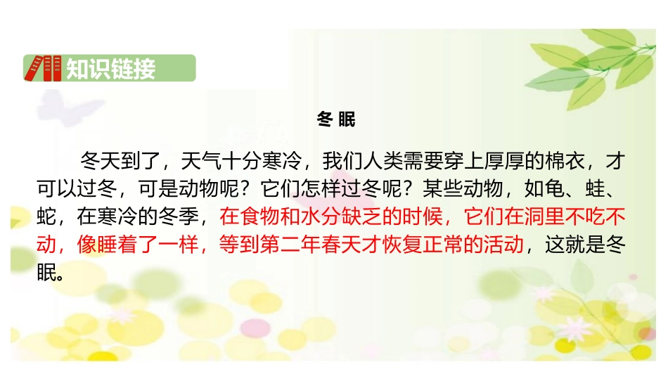 《雪地里的小画家》PPT教学课件[部编版一年级语文上册]_第3页