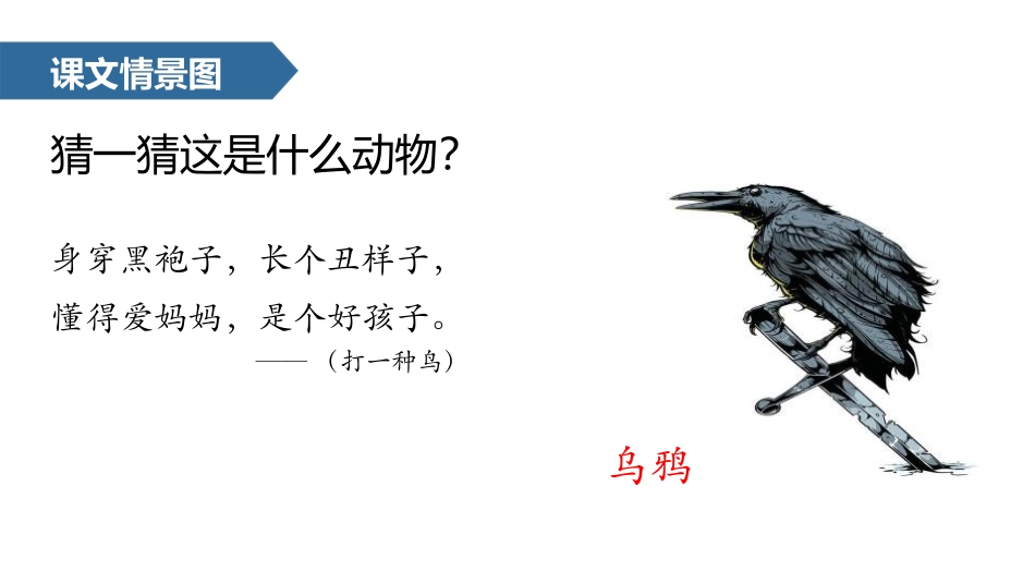 《乌鸦喝水》PPT课文课件[部编版一年级语文上册]_第2页