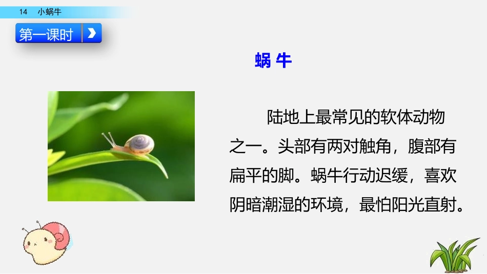 《小蜗牛》PPT教学课件[部编版一年级语文上册]_第3页