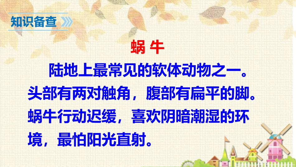 《小蜗牛》PPT精品课件[部编版一年级语文上册]_第3页