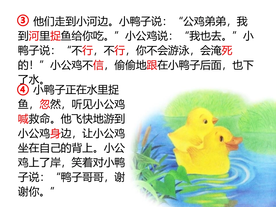 《小公鸡和小鸭子》PPT免费课件[部编版一年级语文下册]_第3页