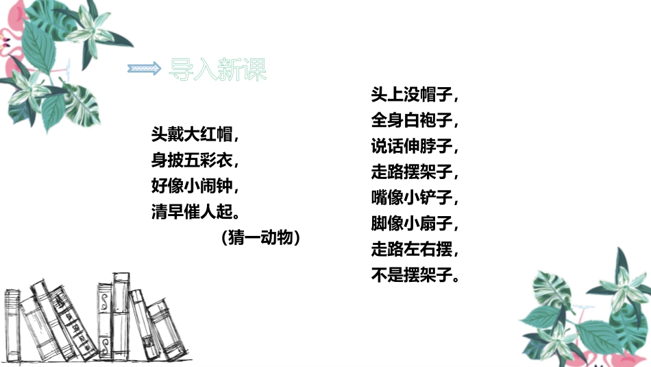 《小公鸡和小鸭子》PPT课文课件[部编版一年级语文下册]_第2页