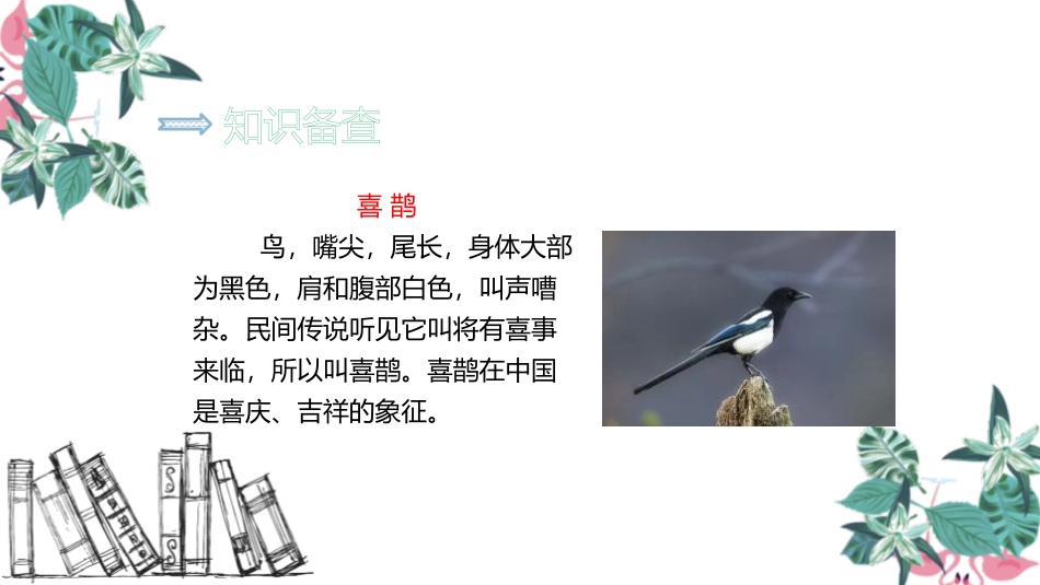 《树和喜鹊》PPT优秀课件[部编版一年级语文下册]_第3页