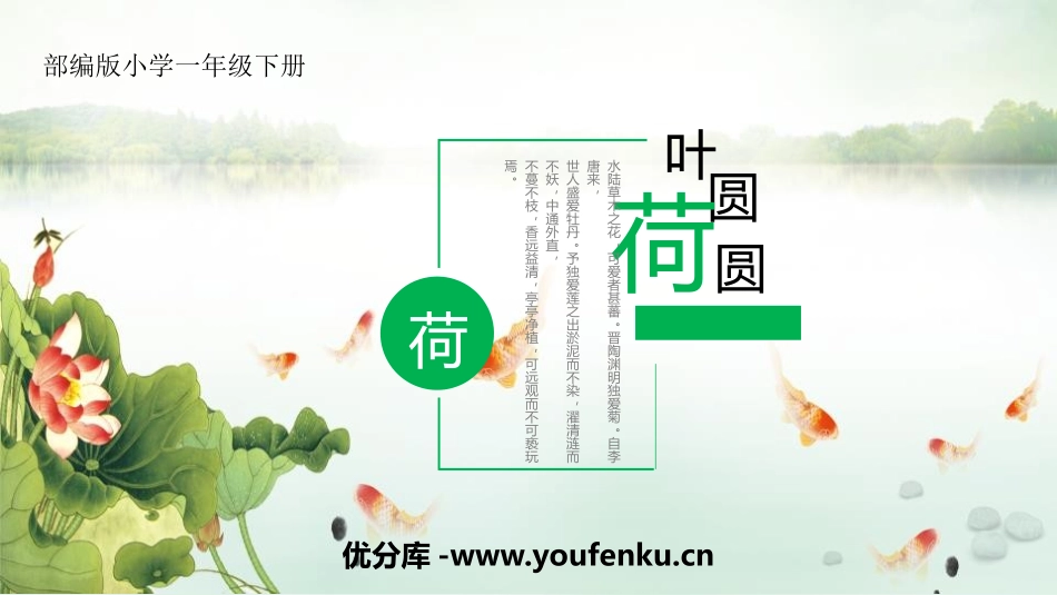 《荷叶圆圆》PPT精品课件[部编版一年级语文下册]_第1页