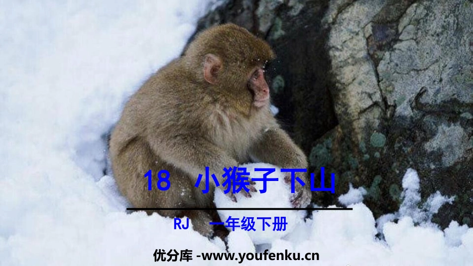 《小猴子下山》PPT精品课件[部编版一年级语文下册]_第1页