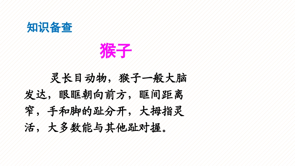 《小猴子下山》PPT教学课件[部编版一年级语文下册]_第3页