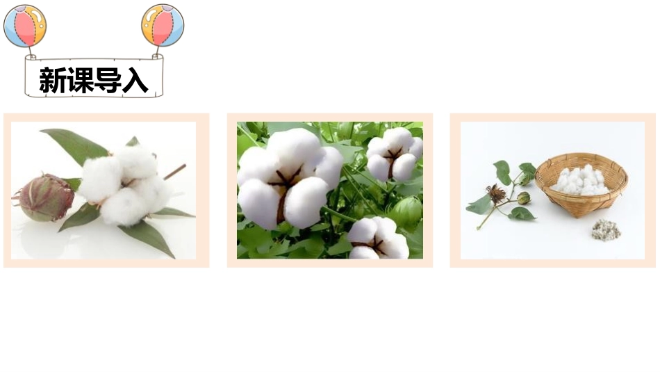 《棉花姑娘》PPT优质课件[部编版一年级语文下册]_第2页