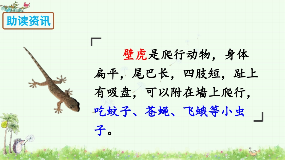 《小壁虎借尾巴》PPT课件[部编版一年级语文下册]_第3页