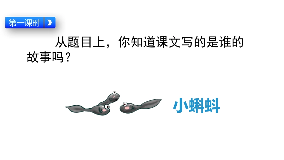 《小蝌蚪找妈妈》PPT课件[部编版二年级语文上册]_第3页