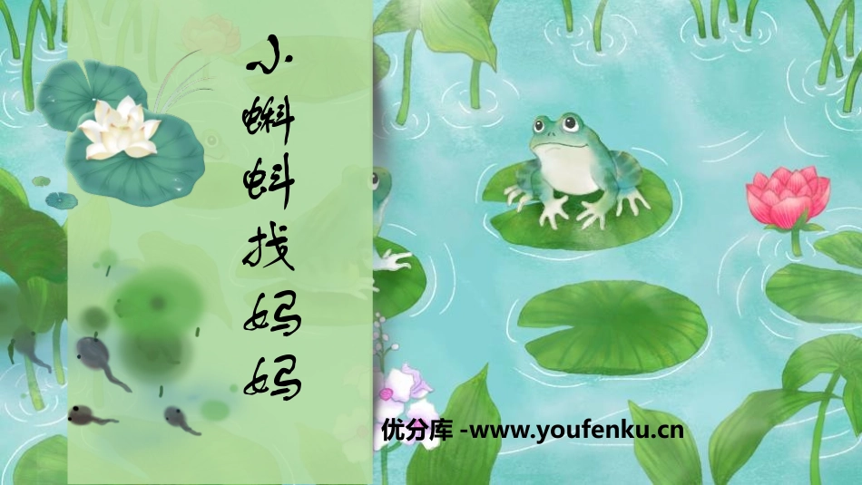 《小蝌蚪找妈妈》PPT教学课件[部编版二年级语文上册]_第1页