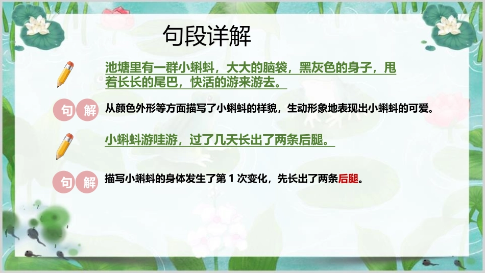 《小蝌蚪找妈妈》PPT教学课件[部编版二年级语文上册]_第3页
