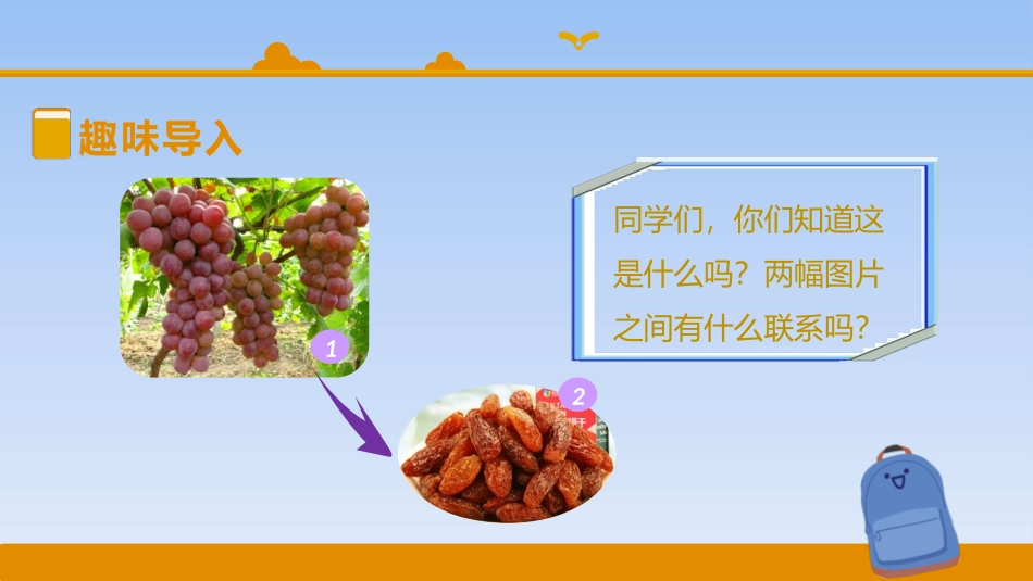 《葡萄沟》PPT课文课件[部编版二年级语文上册]_第3页