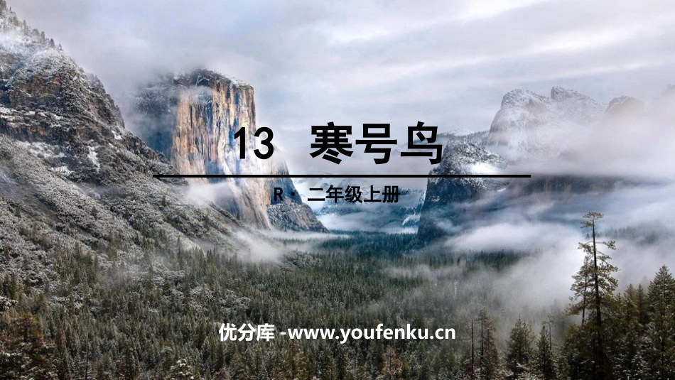 《寒号鸟》PPT免费课件[部编版二年级语文上册]_第1页
