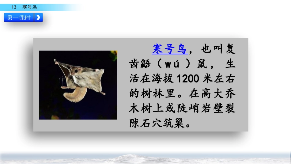 《寒号鸟》PPT教学课件[部编版二年级语文上册]_第3页
