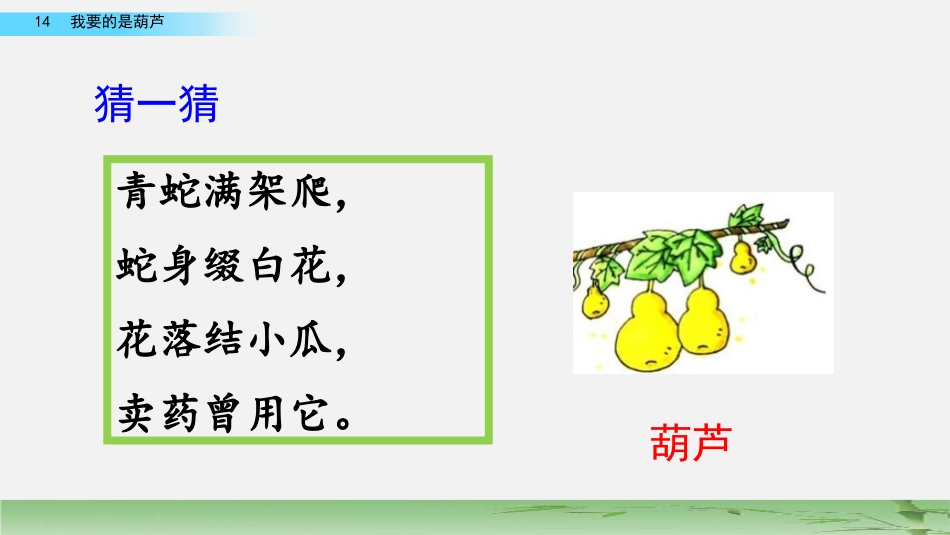 《我要的是葫芦》PPT课件[部编版二年级语文上册]_第2页