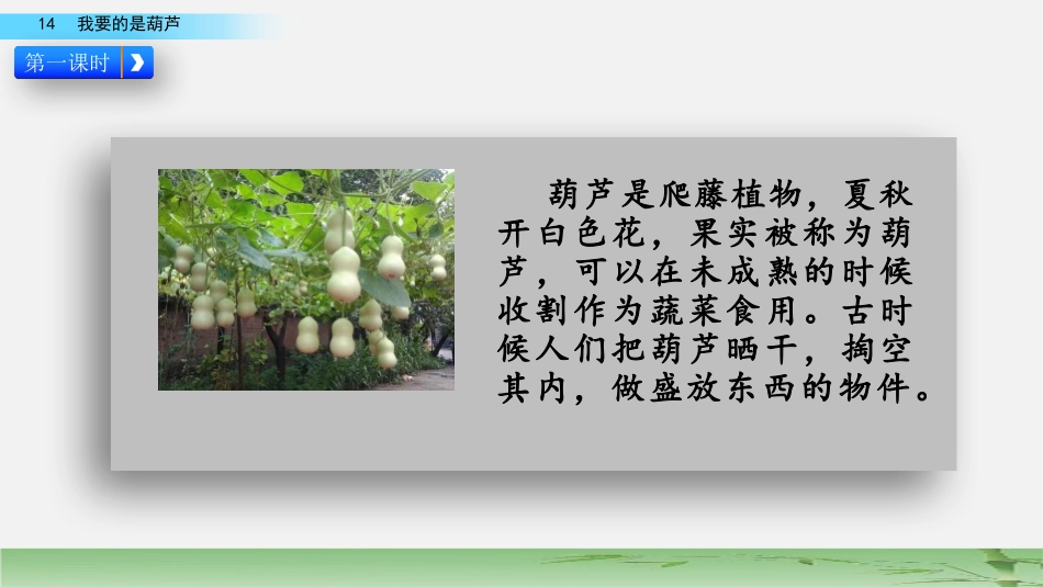 《我要的是葫芦》PPT课件[部编版二年级语文上册]_第3页